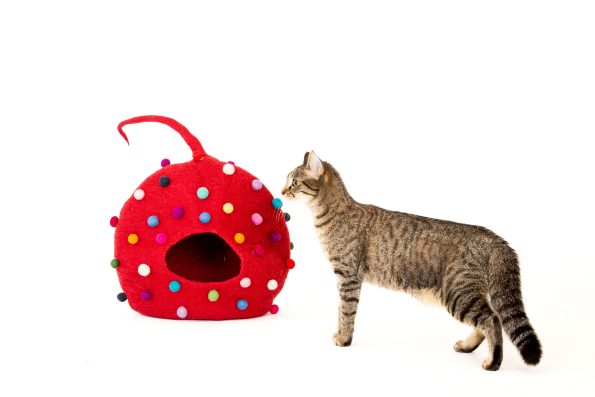 POLKA CAT CAVE