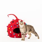 POLKA CAT CAVE