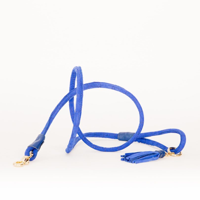 AZURE LEASH