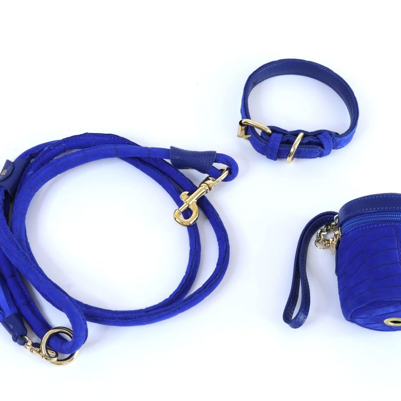 AZURE LEASH