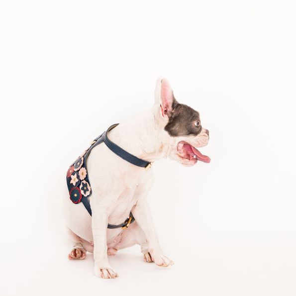 BLOSSOM HARNESS