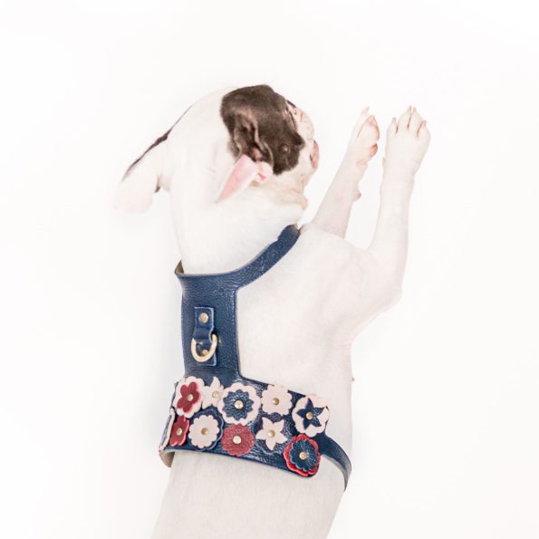 BLOSSOM HARNESS