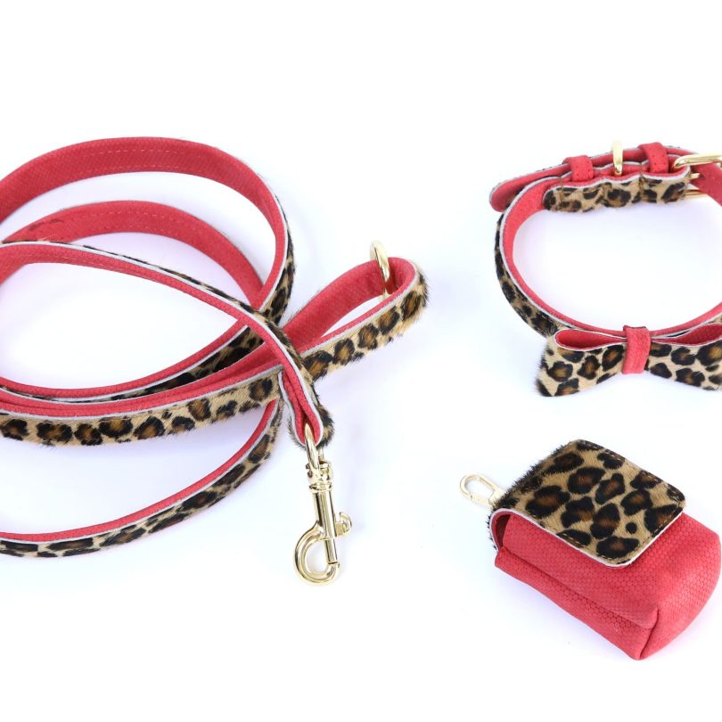 LEO LEASH