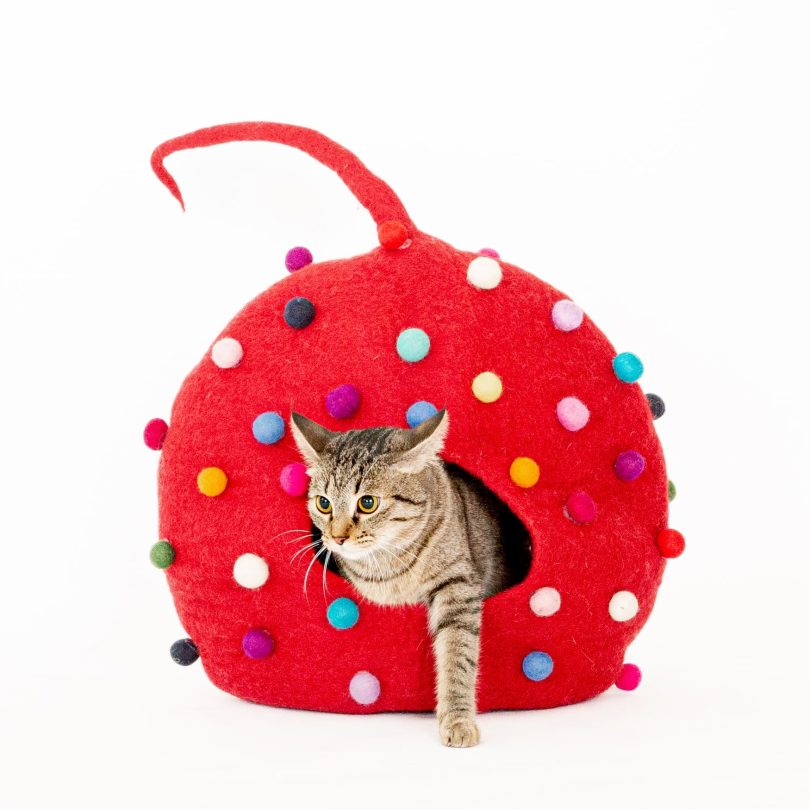 POLKA CAT CAVE