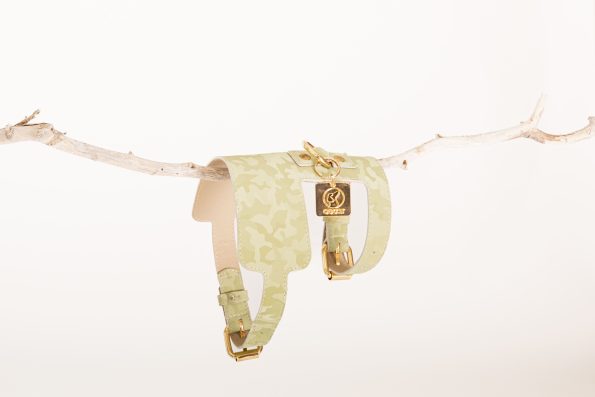 WASABI HARNESS