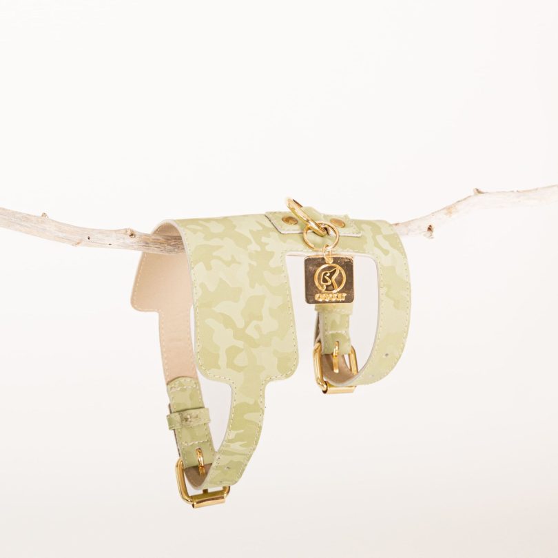 WASABI HARNESS