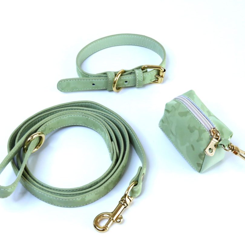 WASABI LEASH