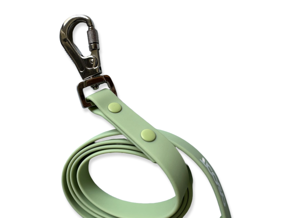 SAGE LEASH