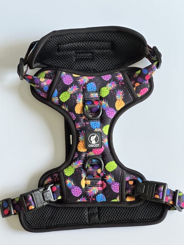 PINEAPPLE-CRUSH HARNESS