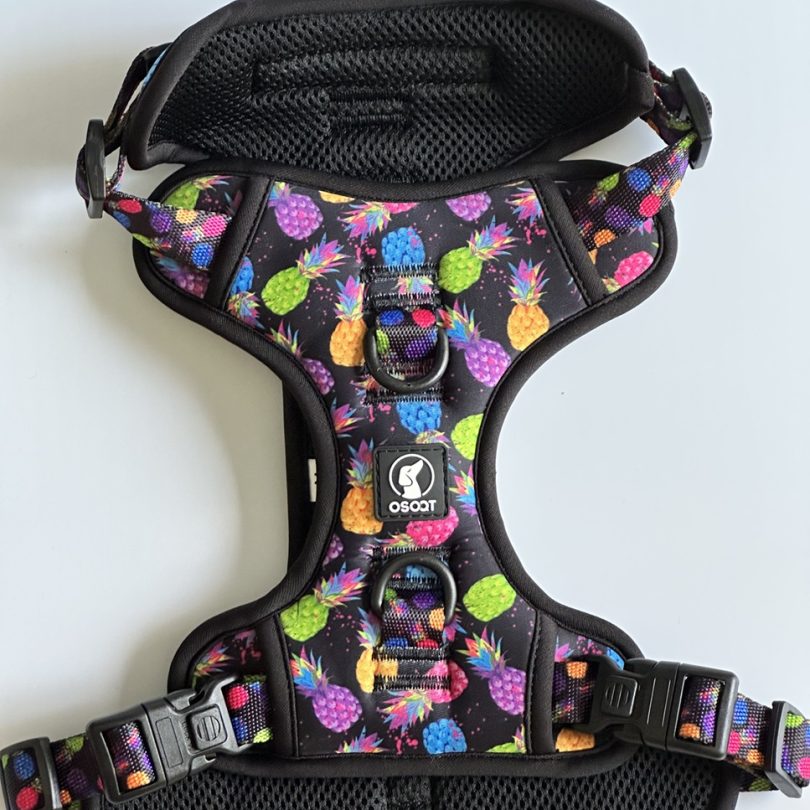 PINEAPPLE-CRUSH HARNESS