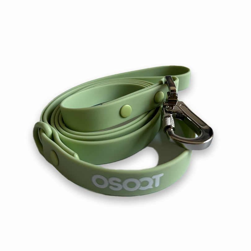 SAGE LEASH