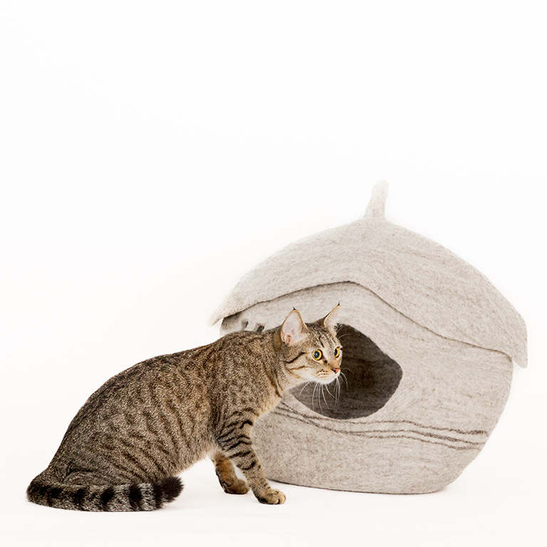 cat-cave-6